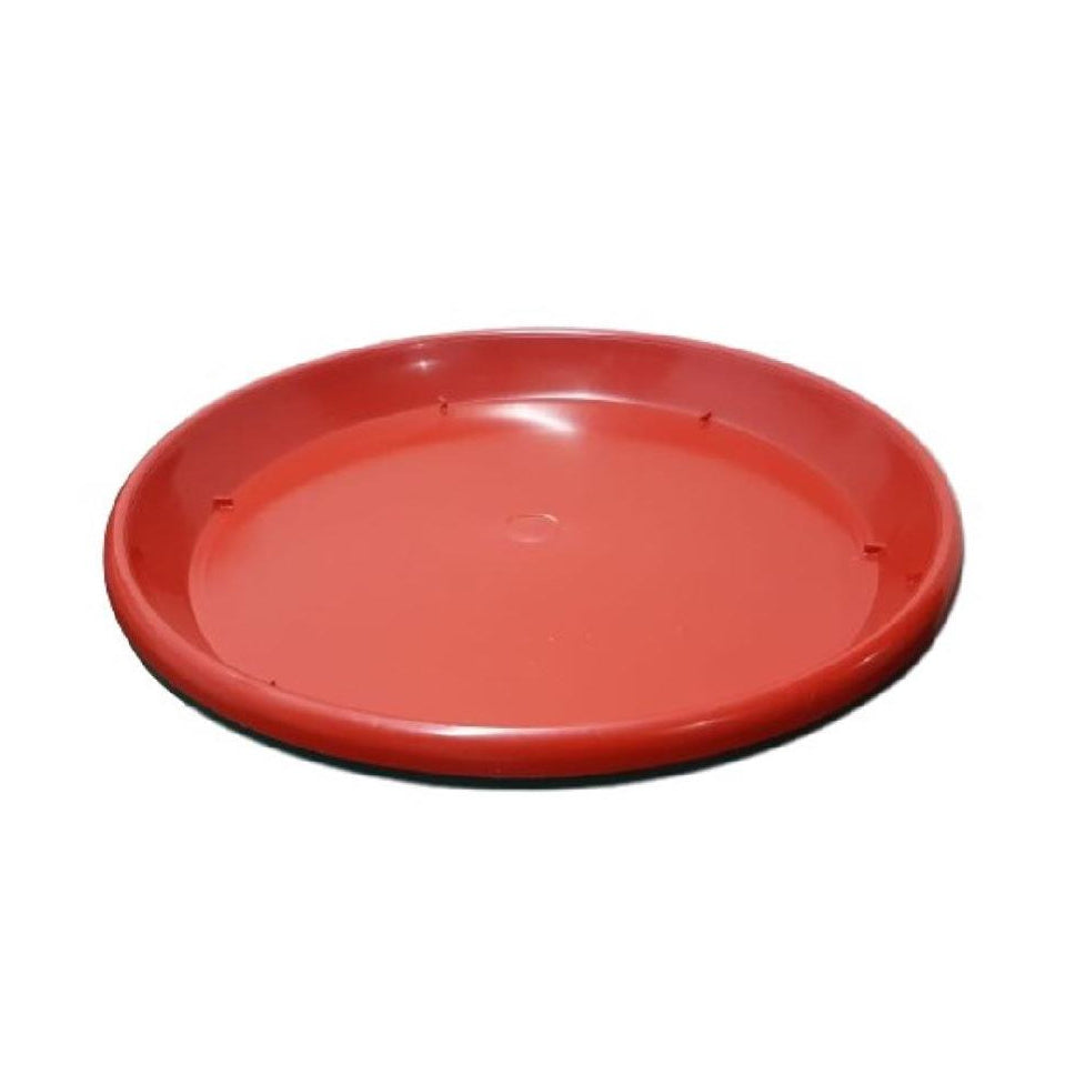 PLATO MATERA DINES N.45