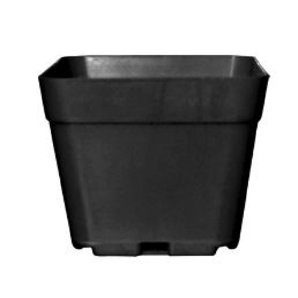 MATERA AFINES N 7 CUADRADA