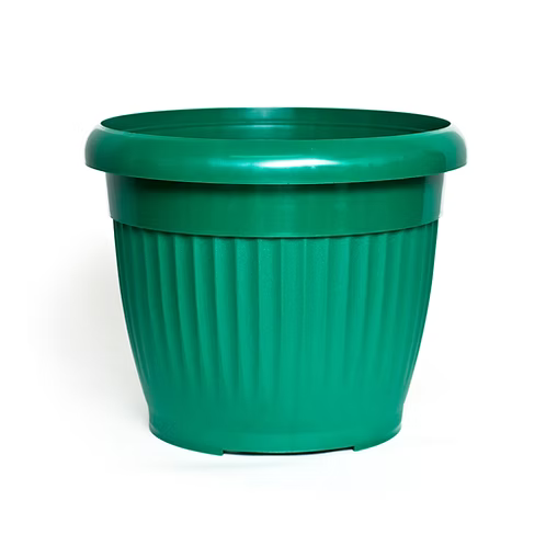 MATERA DINES N.32 CLASICA COLOR (EMP 25)