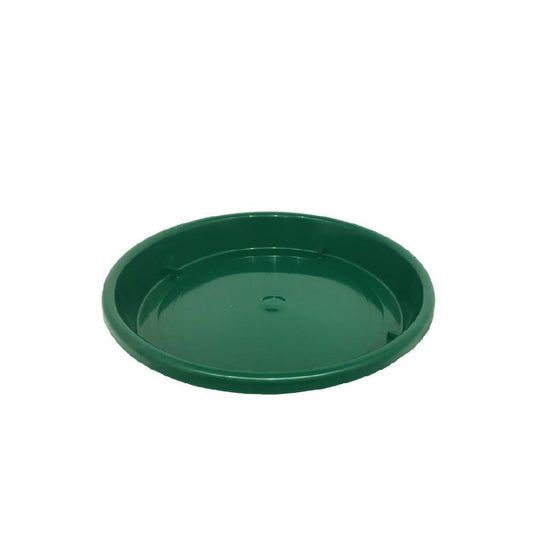 PLATO MATERA INARPLAS 23