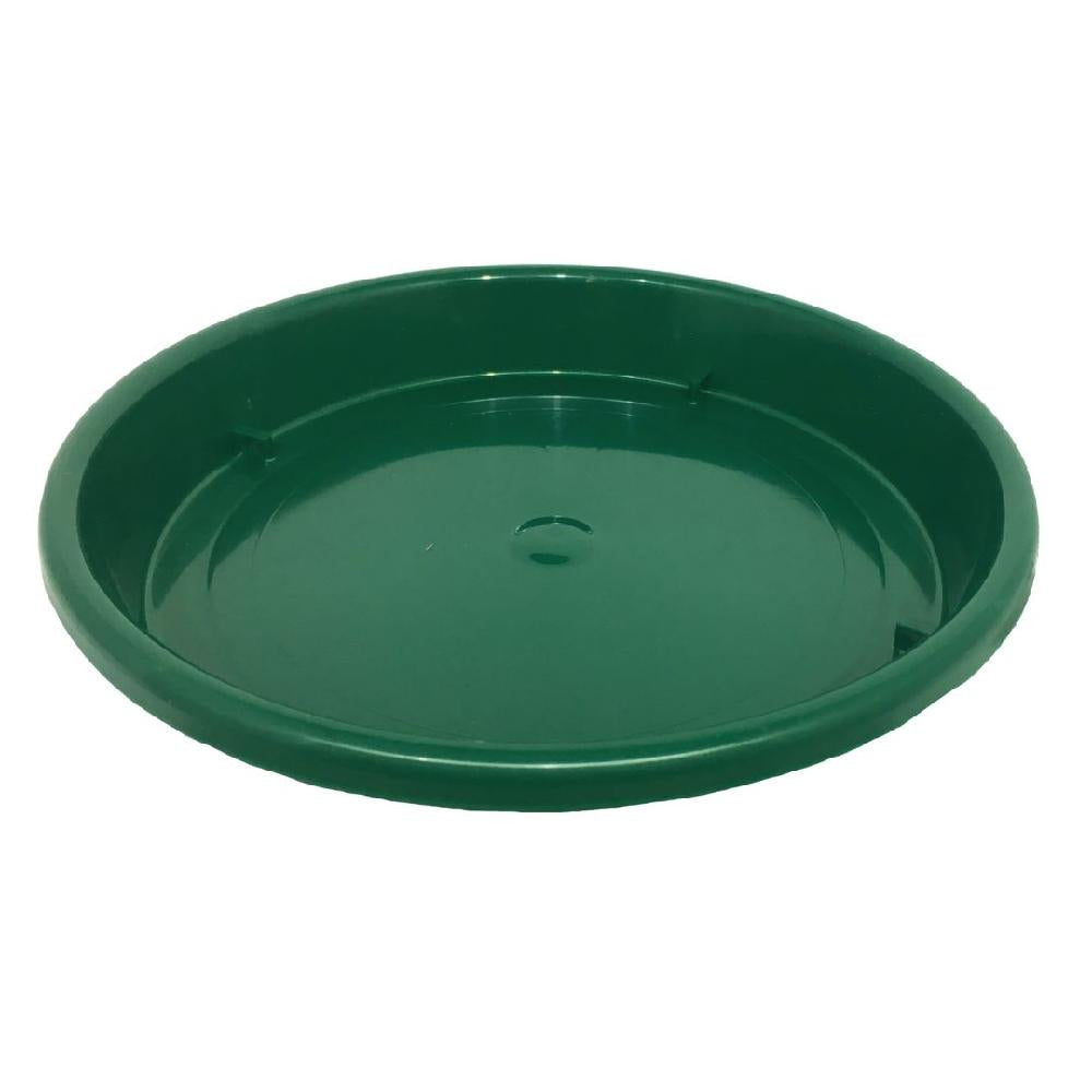 PLATO MATERA INARPLAS 36