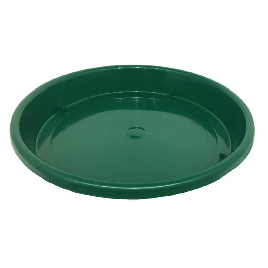 PLATO MATERA INARPLAS 36