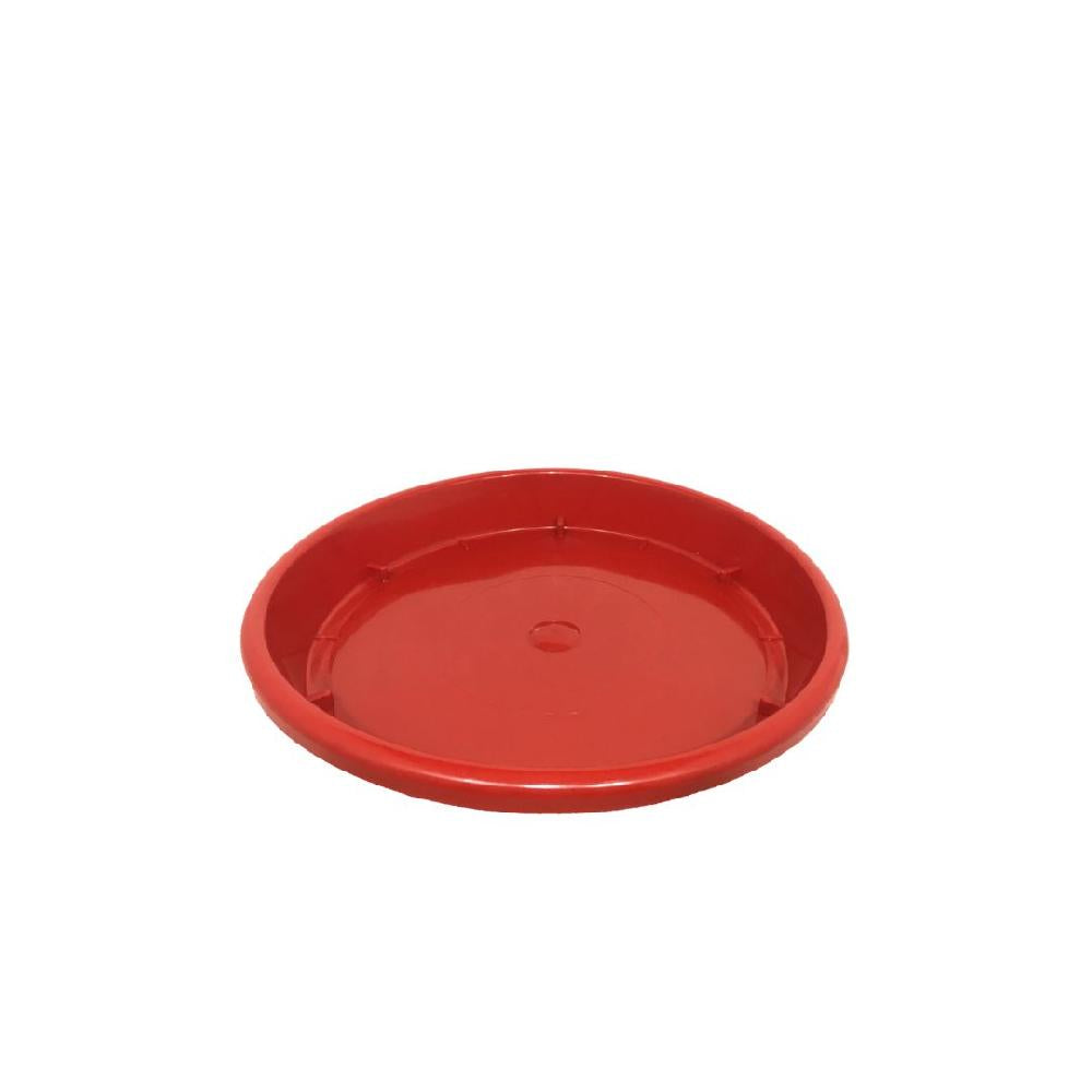 PLATO MATERA INARPLAS 16-18