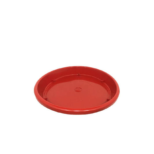 PLATO MATERA INARPLAS 16-18