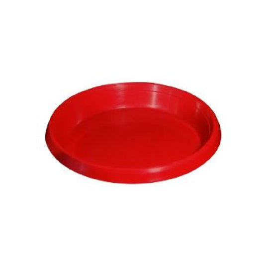 PLATO MATERA AFINES CHEIS