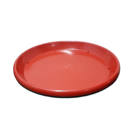PLATO MATERA DINES N.45