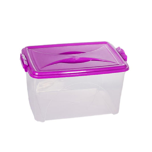 CAJA NP ESTELAR 24 LT REF 11821 D