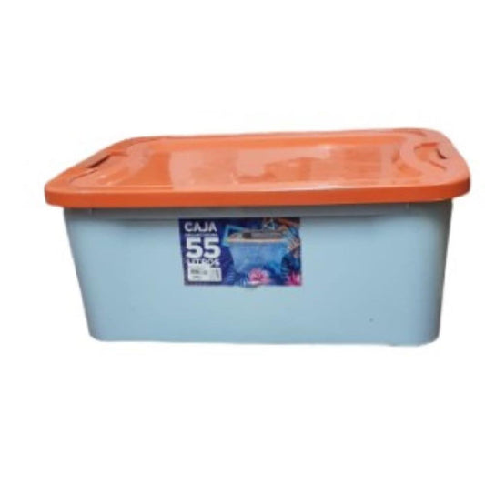 CAJA ARISBU ORGANIZADORA 55 LTR PP