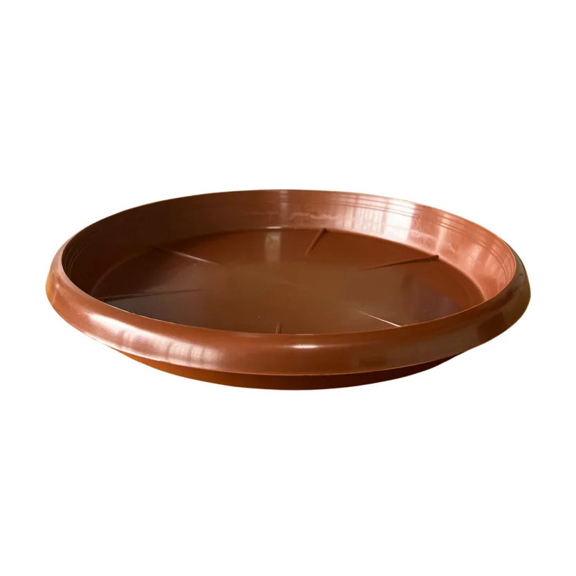 PLATO MATERA AFINES N 43 DECORATIVO (EMP 60)